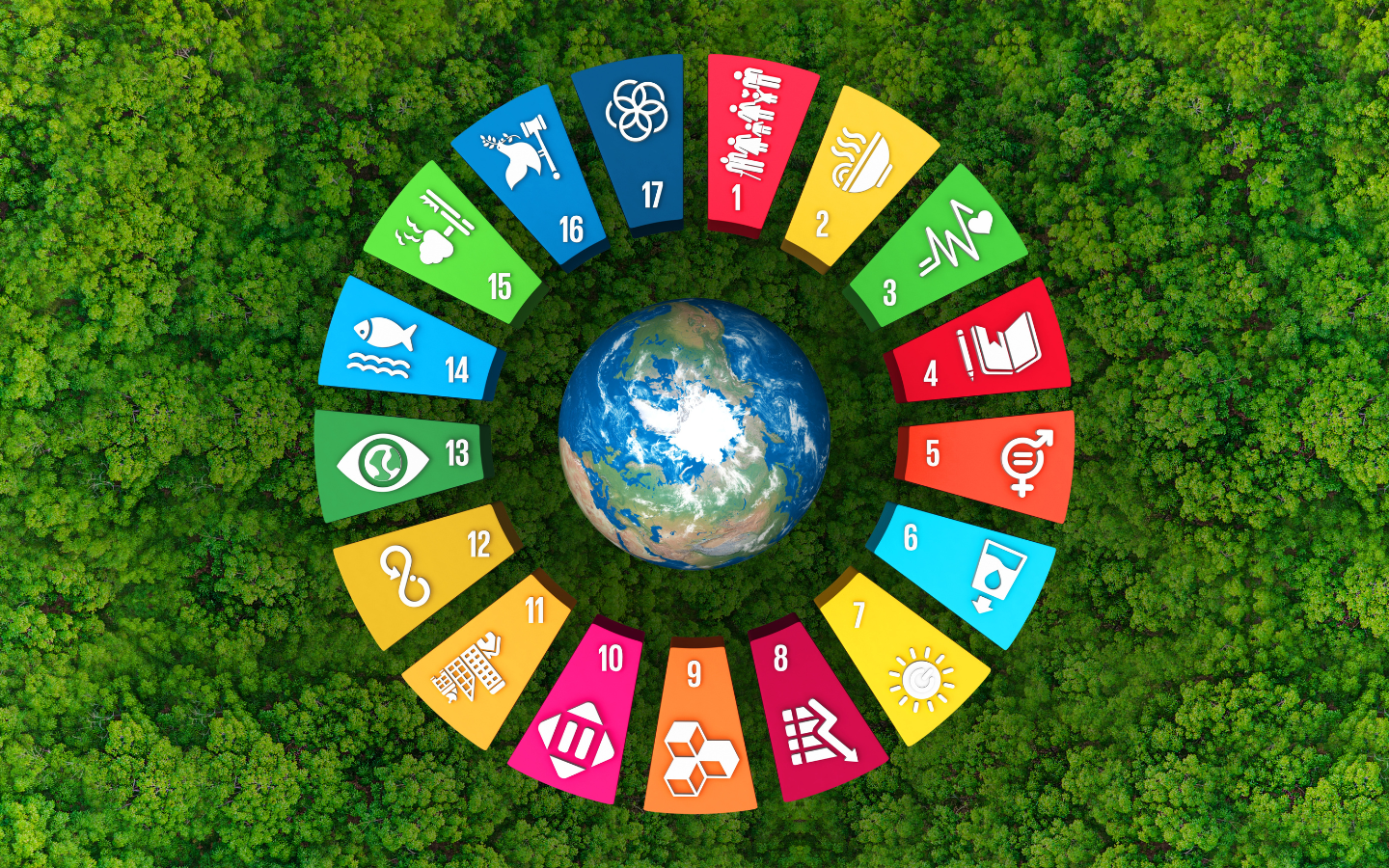 What are the SDGs? How can you invest with them in mind?